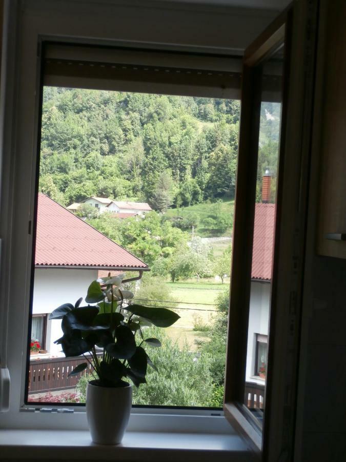 Apartma Ana Dreznica Kobarid Luaran gambar